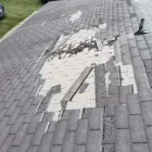 Business 1 image PROFESSIONAL CHOICE ROOFING Roofing Company in Lake Mary FL