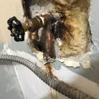 Business 1 image PROFESSIONAL PLUMBING & POO SERVICES Plumbers in Hollywood FL