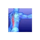 Business 1 image PROSPECT FAMILY CHIROPRACTIC Chiropractors & Chiropractic Services in Oakland Park FL