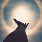 Business 1 image PSYCHIC READINGS BY GRACE in Orlando FL