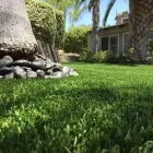Business 1 image PURCHASE GREEN ARTIFICIAL GRASS - DENVER Synthetic Turf in Wheat Ridge CO