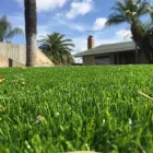 Business 2 image PURCHASE GREEN ARTIFICIAL GRASS - DENVER Synthetic Turf in Wheat Ridge CO