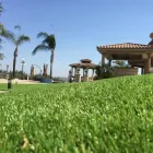 Business 4 image PURCHASE GREEN ARTIFICIAL GRASS - DENVER Synthetic Turf in Wheat Ridge CO