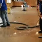 Business 1 image PUREPULSE CARPET CLEANING Cleaning Services in La Mesa CA