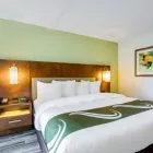 Business 1 image QUALITY INN & SUITES DOWNTOWN in Orlando FL