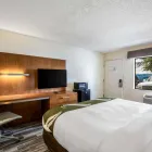 Business 17 image QUALITY INN & SUITES DOWNTOWN in Orlando FL