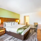 Business 19 image QUALITY INN & SUITES DOWNTOWN in Orlando FL