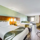 Business 26 image QUALITY INN & SUITES DOWNTOWN in Orlando FL