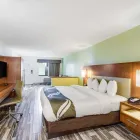 Business 33 image QUALITY INN & SUITES DOWNTOWN in Orlando FL