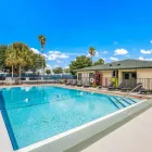 Business 35 image QUALITY INN & SUITES DOWNTOWN in Orlando FL