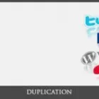 Business 1 image RABBIT CLONE in San Diego CA