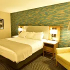 Business 3 image RADISSON HOTEL NIAGARA FALLS-GRAND ISLAND Hotels in Grand Island NY