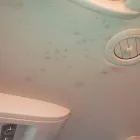 Business 83 image RAPID MOBILE AUTOMOTIVE DETAIL Rust Removal in North Kansas City MO