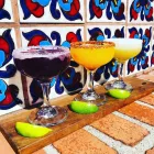 Business 6 image REFORMA MODERN MEXICAN. MEZCAL + TEQUILA Restaurants in Tucson AZ