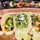 Business 12 image REFORMA MODERN MEXICAN. MEZCAL + TEQUILA Restaurants in Tucson AZ