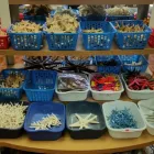 Business 2 image RICHARDS SEASHELLS Novelty Store in Winter Haven FL