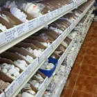 Business 4 image RICHARDS SEASHELLS Novelty Store in Winter Haven FL