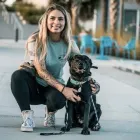 Business 2 image RIDGESIDE K9 TAMPA DOG TRAINING Dog Trainers in Tampa FL