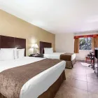 Business 32 image RODEWAY INN & SUITES FORT LAUDERDALE AIRPORT & PORT EVERGLADES CRUISE PORT HOTEL Motel in Fort Lauderdale FL