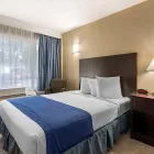Business 38 image RODEWAY INN & SUITES FORT LAUDERDALE AIRPORT & PORT EVERGLADES CRUISE PORT HOTEL Motel in Fort Lauderdale FL