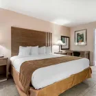 Business 47 image RODEWAY INN & SUITES FORT LAUDERDALE AIRPORT & PORT EVERGLADES CRUISE PORT HOTEL Motel in Fort Lauderdale FL