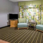 Business 4 image RODEWAY INN & SUITES WINTER HAVEN CHAIN OF LAKES in Winter Haven FL