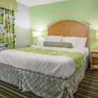 Business 5 image RODEWAY INN & SUITES WINTER HAVEN CHAIN OF LAKES in Winter Haven FL