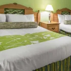 Business 10 image RODEWAY INN & SUITES WINTER HAVEN CHAIN OF LAKES in Winter Haven FL