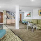 Business 15 image RODEWAY INN & SUITES WINTER HAVEN CHAIN OF LAKES in Winter Haven FL