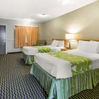 Business 17 image RODEWAY INN & SUITES WINTER HAVEN CHAIN OF LAKES in Winter Haven FL