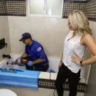 Business 4 image ROOTER HERO PLUMBING OF PHOENIX Plumbing Drain Sewer Cleaning in Mesa AZ