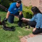 Business 9 image ROOTER HERO PLUMBING OF PHOENIX Plumbing Drain Sewer Cleaning in Mesa AZ