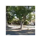 Business 5 image SAME DAY DUMPSTER RENTAL ORLANDO in Orlando FL