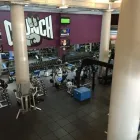 Business 6 image SC SPORTS THERAPY Sports Therapy in San Francisco CA