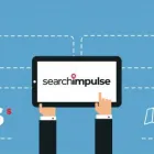 Business 1 image SEARCH IMPULSE Advertising Agencies in Tampaa FL