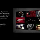 Business 1 image SENSUAL WALL ART in Palm Harbor FL