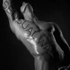 Business 11 image SENSUAL WALL ART in Palm Harbor FL