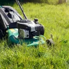 Business 1 image SERENITY LAWN CARE Snow Removal Service in Wheat Ridge CO