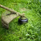 Business 3 image SERENITY LAWN CARE Snow Removal Service in Wheat Ridge CO