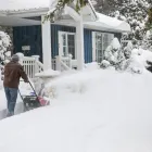 Business 4 image SERENITY LAWN CARE Snow Removal Service in Wheat Ridge CO