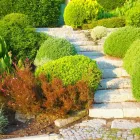 Business 5 image SERENITY LAWN CARE Snow Removal Service in Wheat Ridge CO