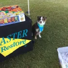 Business 4 image SERVICEMASTER 24 HOUR Mold Testing & Removal in Tampa FL