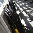 Business 3 image SIGNATURE FITNESS Weight Training Center in Orlando FL