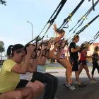 Business 4 image SIGNATURE FITNESS Weight Training Center in Orlando FL