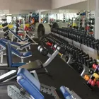 Business 8 image SIGNATURE FITNESS Weight Training Center in Orlando FL