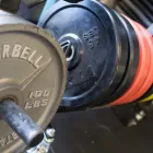 Business 14 image SIGNATURE FITNESS Weight Training Center in Orlando FL