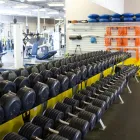 Business 15 image SIGNATURE FITNESS Weight Training Center in Orlando FL