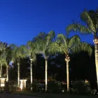 Business 10 image SIGNATURE LIGHTING & ELECTRICAL in Tampa FL