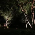 Business 20 image SIGNATURE LIGHTING & ELECTRICAL in Tampa FL