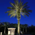 Business 21 image SIGNATURE LIGHTING & ELECTRICAL in Tampa FL